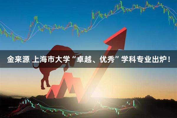 金来源 上海市大学“卓越、优秀”学科专业出炉!