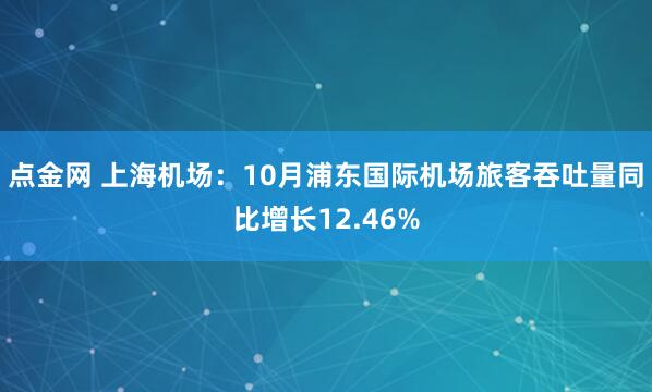 点金网 上海机场：10月浦东国际机场旅客吞吐量同比增长12.46%