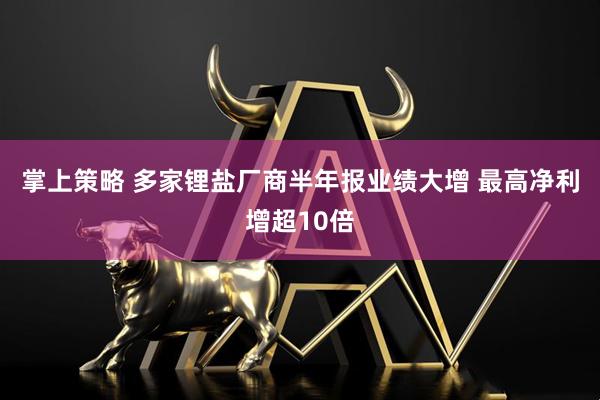 掌上策略 多家锂盐厂商半年报业绩大增 最高净利增超10倍
